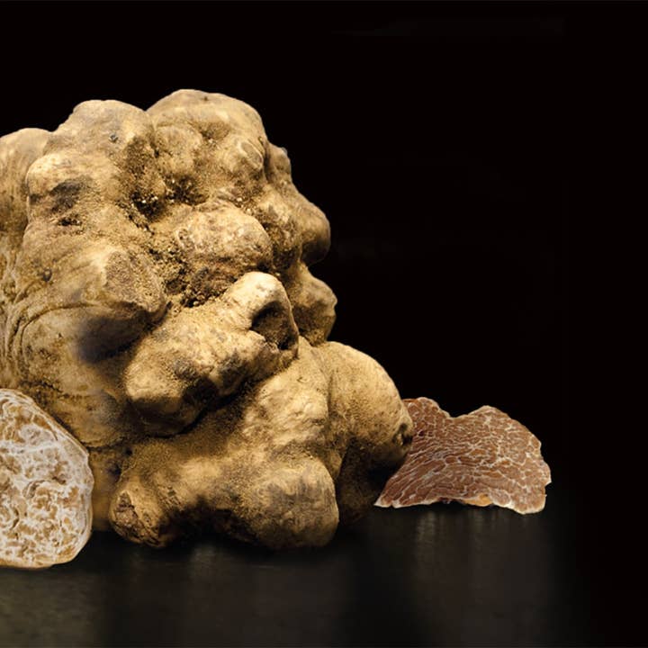 Zia Pia White Truffle EVOO by Giuliano Tartufi