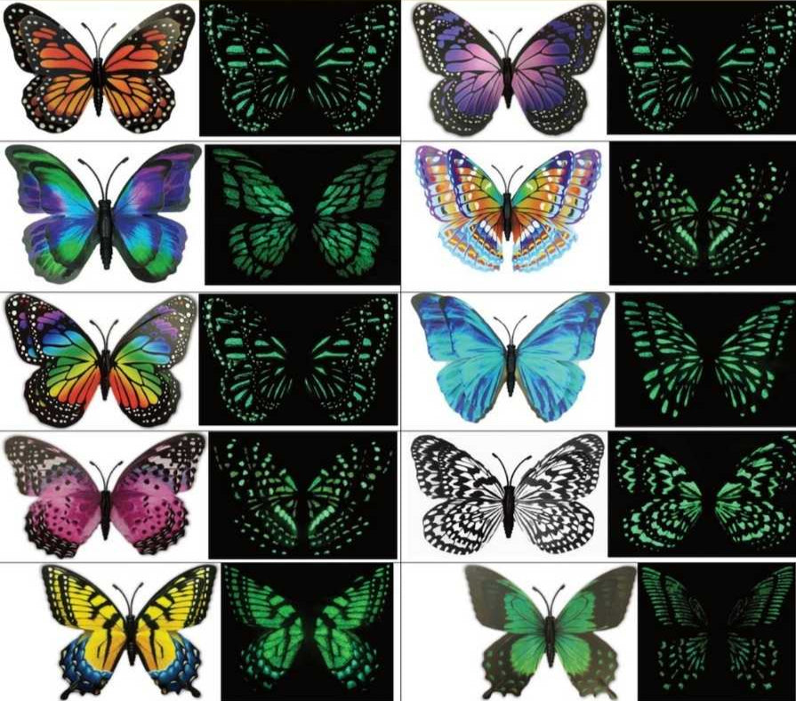 Glow in the Dark Assorted Butterfly Magnet by Flutter Gallery