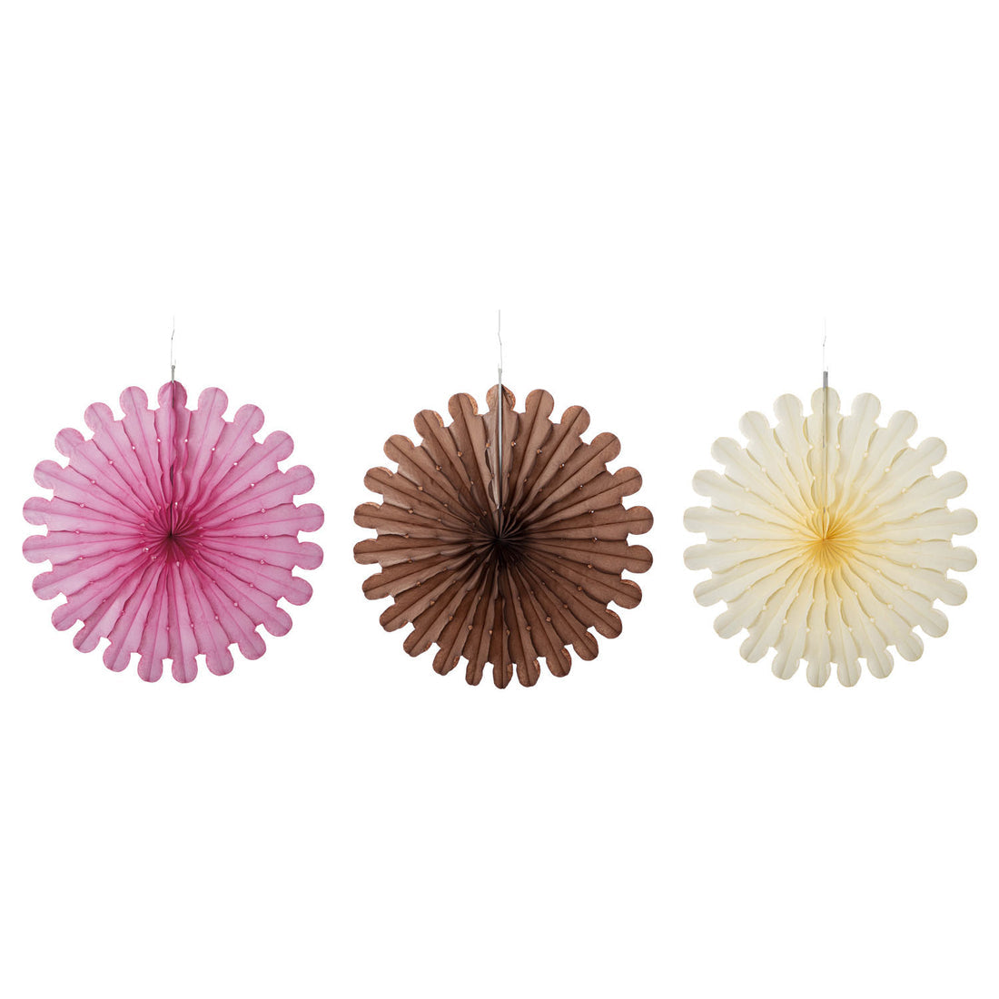 Hester & Cook Celebration Fan Set of 3