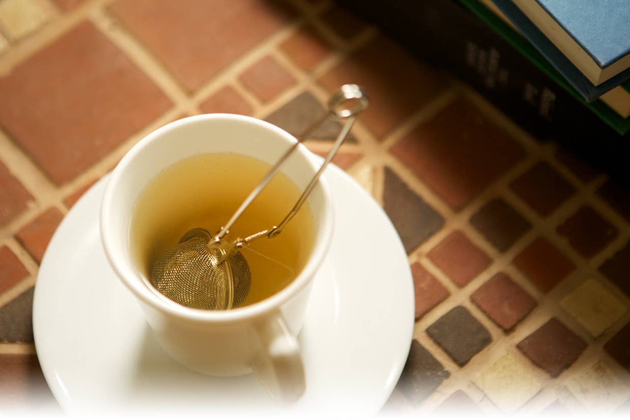 Fox Run Mesh Spring Tea Infuser