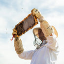 Mulling Spice Infused Honey 12oz | Messner Bee Farm