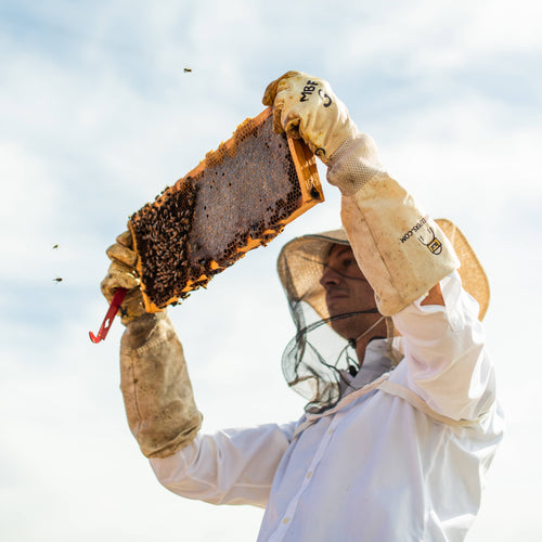 Mulling Spice Infused Honey 12oz | Messner Bee Farm