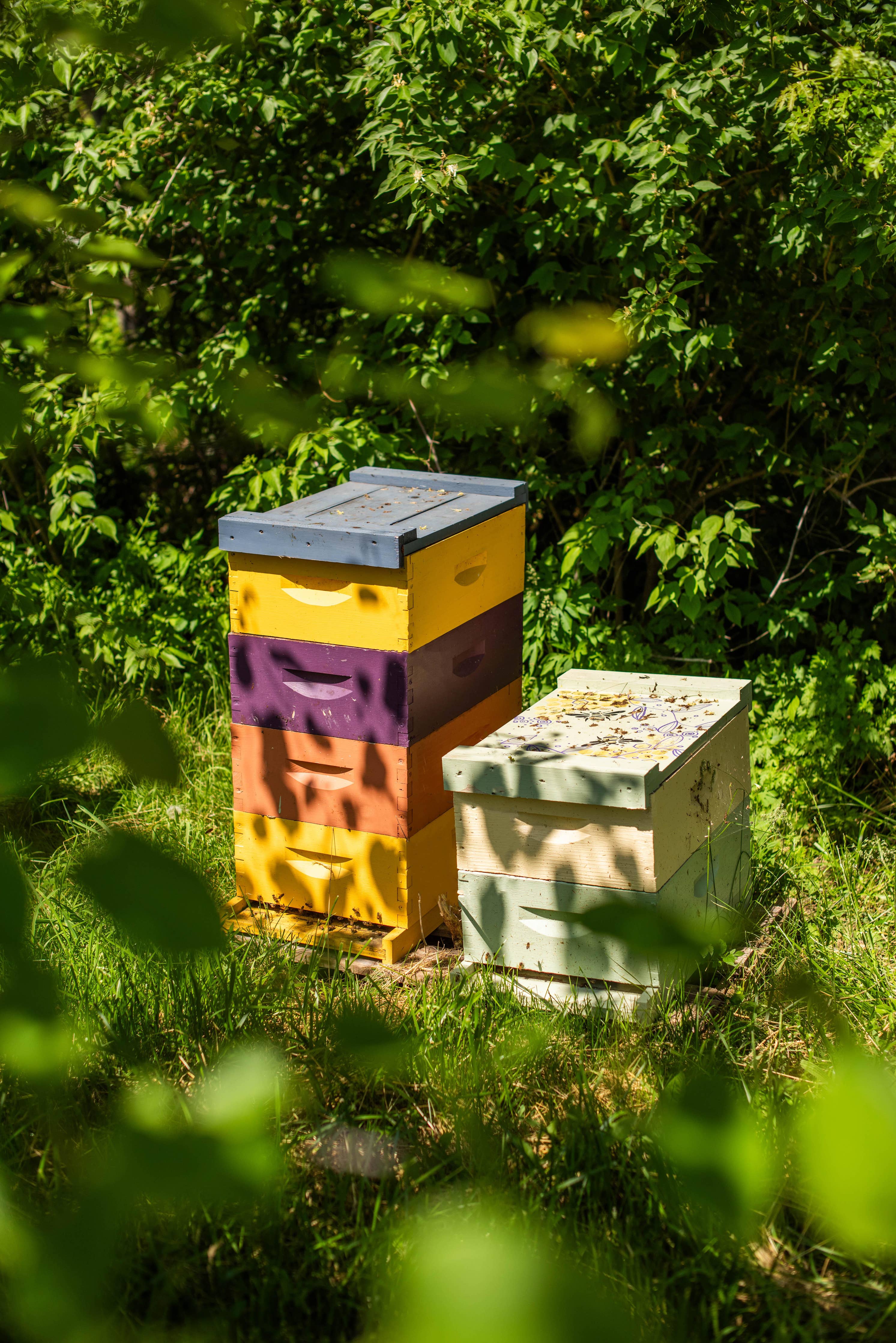 Mulling Spice Infused Honey 12oz | Messner Bee Farm