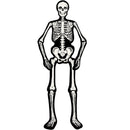 Articulated Skeleton