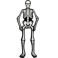 Articulated Skeleton