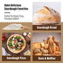 Organic Non-GMO, Freeze Dried, Sourdough Starter. 12 gr NEW