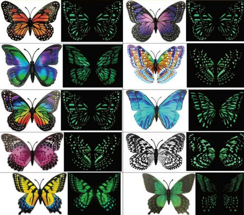 Collection of colorful butterflies with a black background