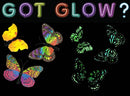 Glow in the Dark Assorted Butterfly Magnet by Flutter Gallery
