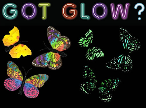 Glowing butterflies with the text 'GOT GLOW?' on a black background