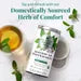 Organic American Peppermint SuperHerb® Herbs Of Origin Tea Bags | Republic of Tea
