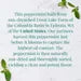 Organic American Peppermint SuperHerb® Herbs Of Origin Tea Bags | Republic of Tea