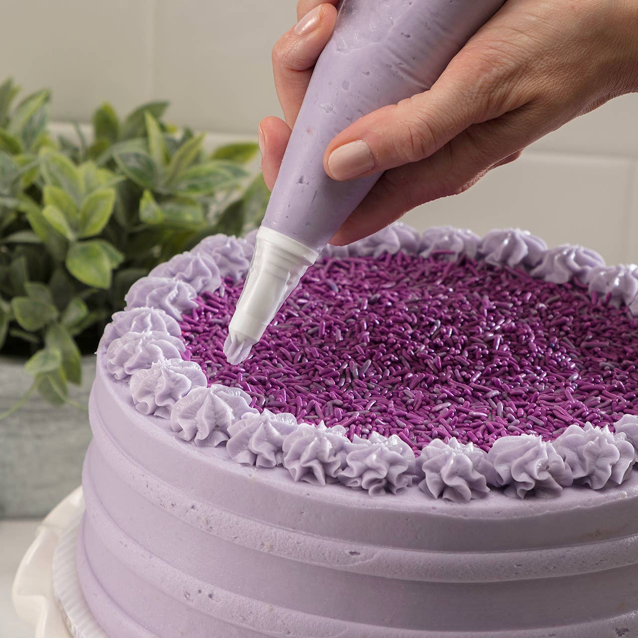 Person decorating a cake with purple frosting and sprinkles using a piping bag.