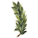 Hester & Cook Table Accent Laurel