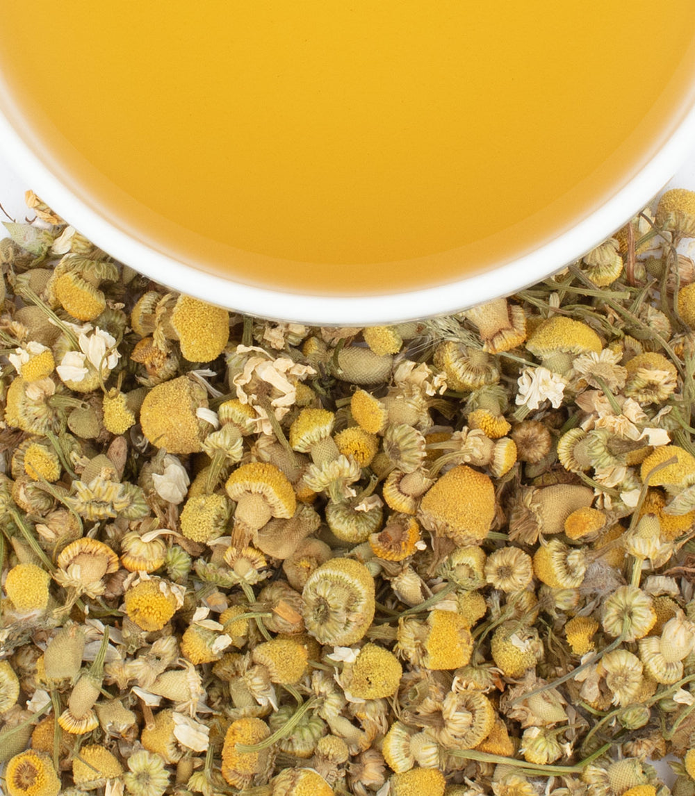 A close up look at a cup of chamomile tea and the flowers that make up the tea.