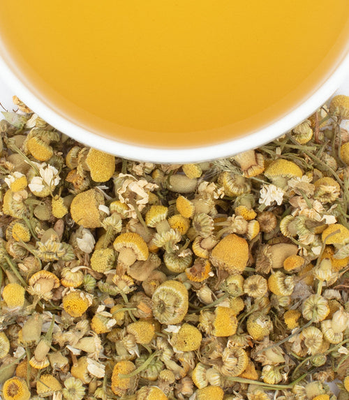A close up look at a cup of chamomile tea and the flowers that make up the tea.