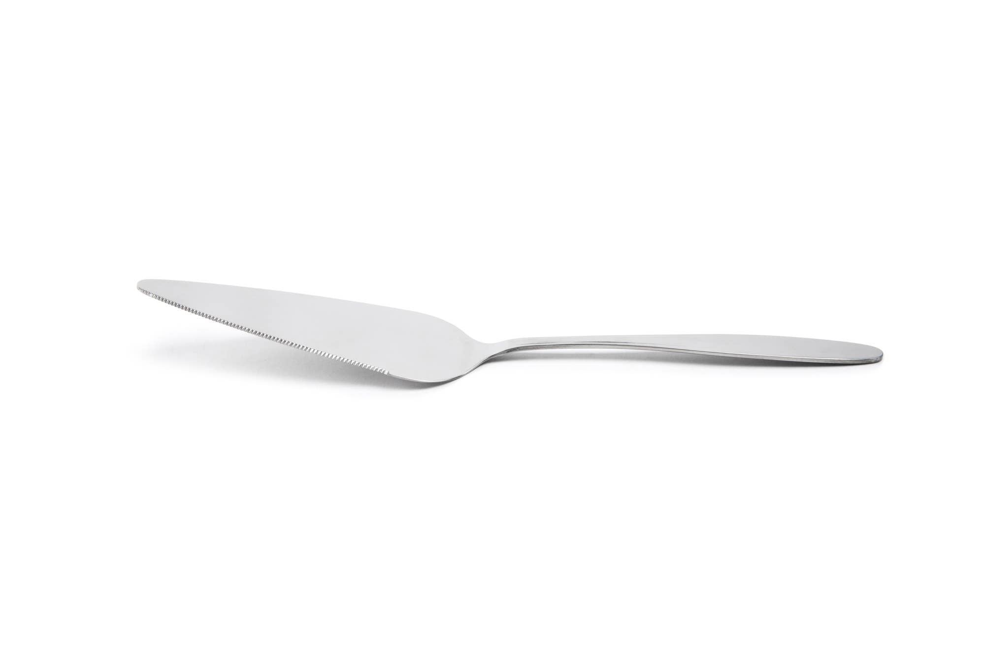 Stainless Steel Pie and Cake Server and Cutter - 10" | Fox Run