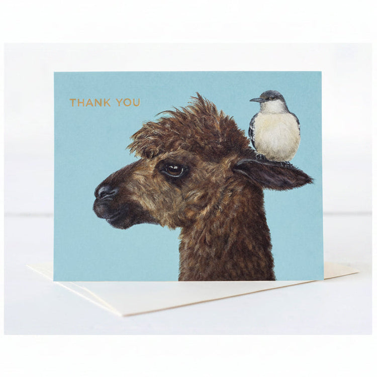 A greeting card with an illustration of an alpaca and a bird, with the text 'Thank You' on the front.