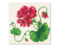Geranium Cocktail Napkins | Hester & Cook