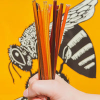 Honey Sticks | Messner Bee Farm