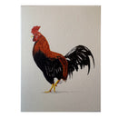 Pen and ink drawing of a rooster on textured beige paper