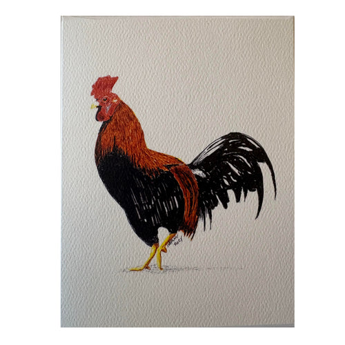 Pen and ink drawing of a rooster on textured beige paper