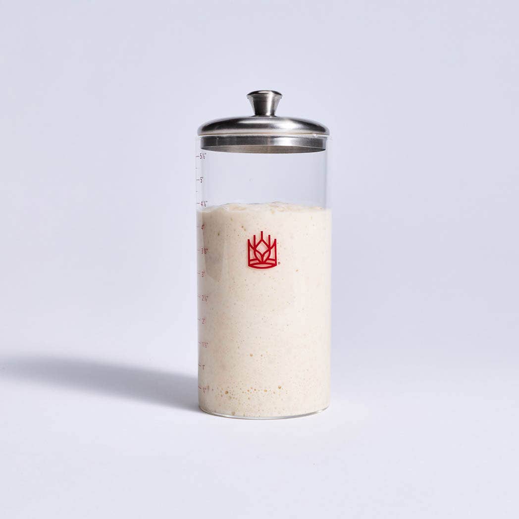 Clear glass container with a metal lid and red logo filled with sourdough on a light gray background