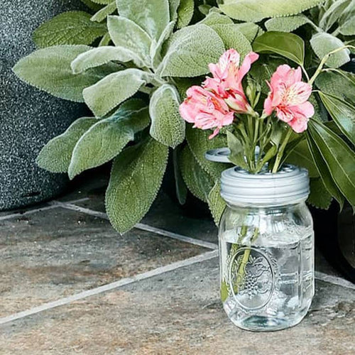 A mason jar with a lid that includes shaker holes holding flowers on a stone surface next to a plant.