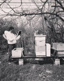 A black and white photo of person working with beekeeping equipment in an outdoor setting