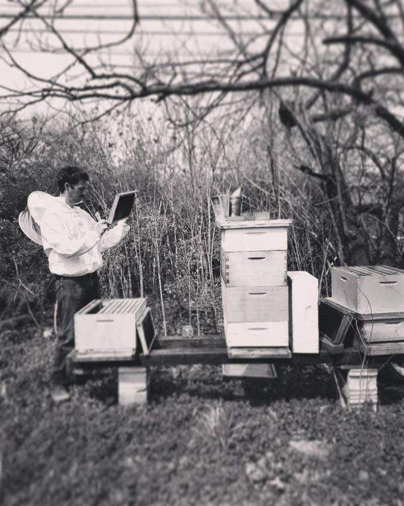 A black and white photo of person working with beekeeping equipment in an outdoor setting