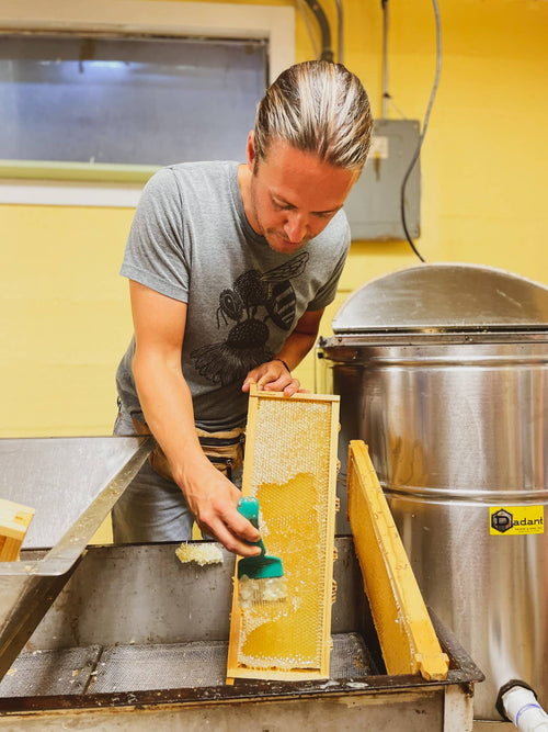 Person cleaning honeycomb frames in a kitchen setting