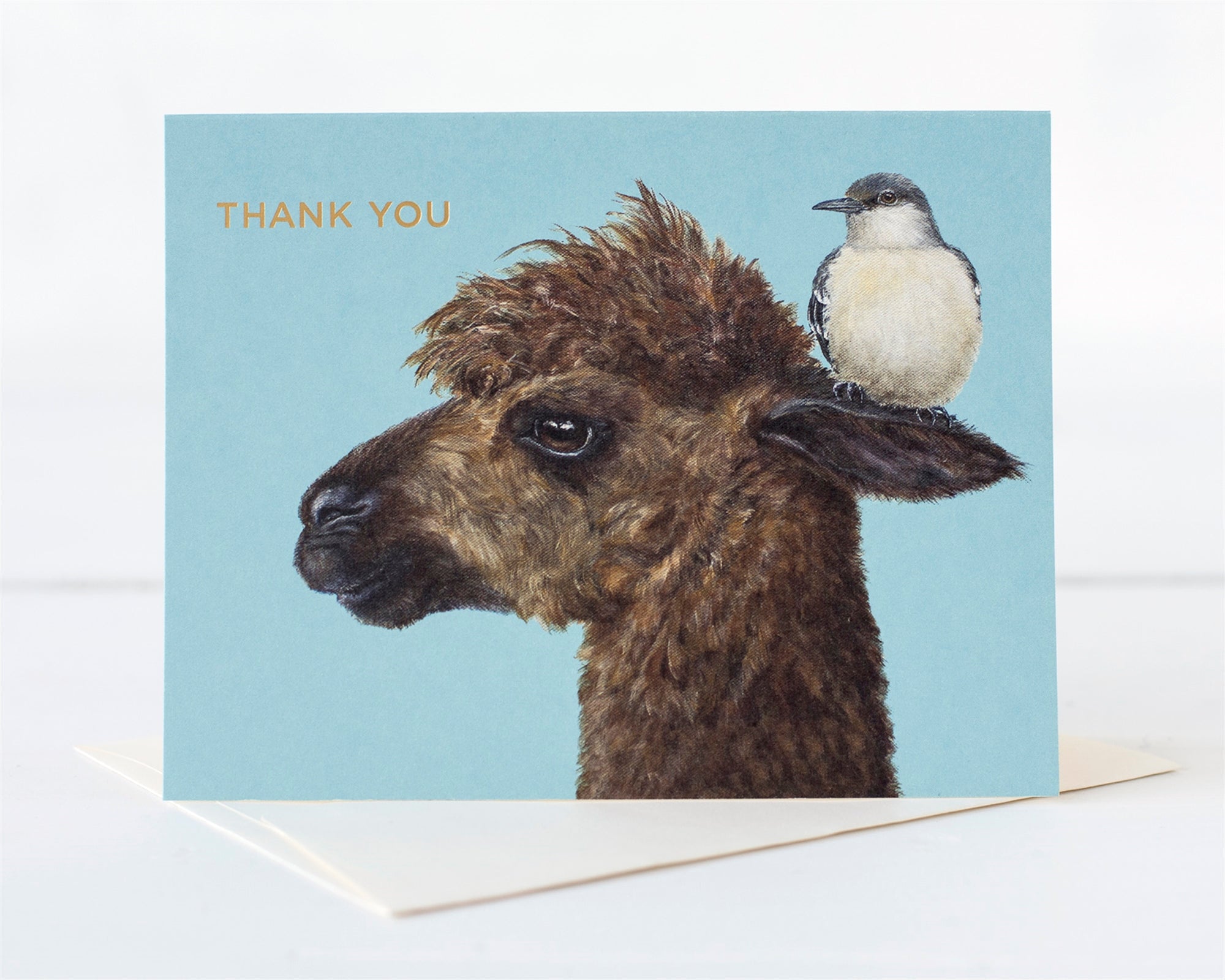 Hester & Cook Alpaca Thank You Card