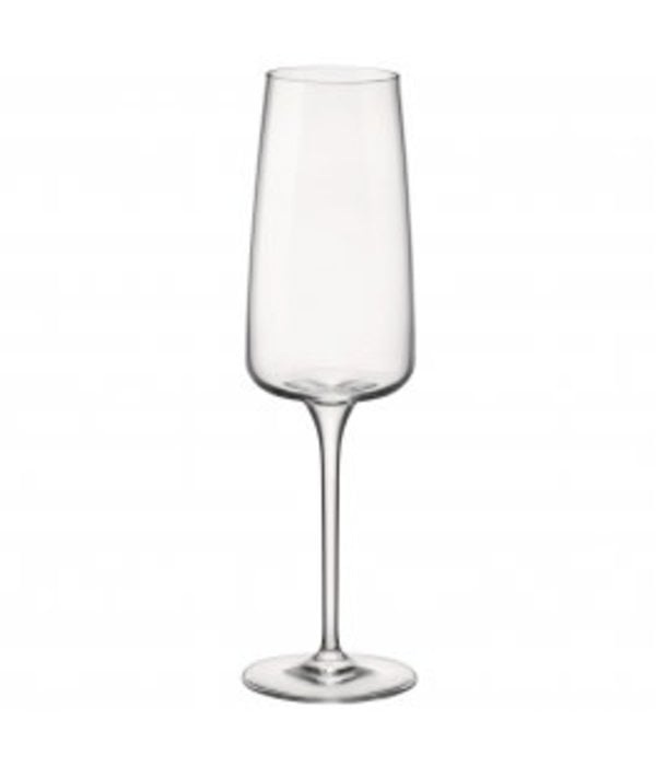 Planeo Champagne Flutes - 8oz (Set Of 4) | Bormioli Rocco