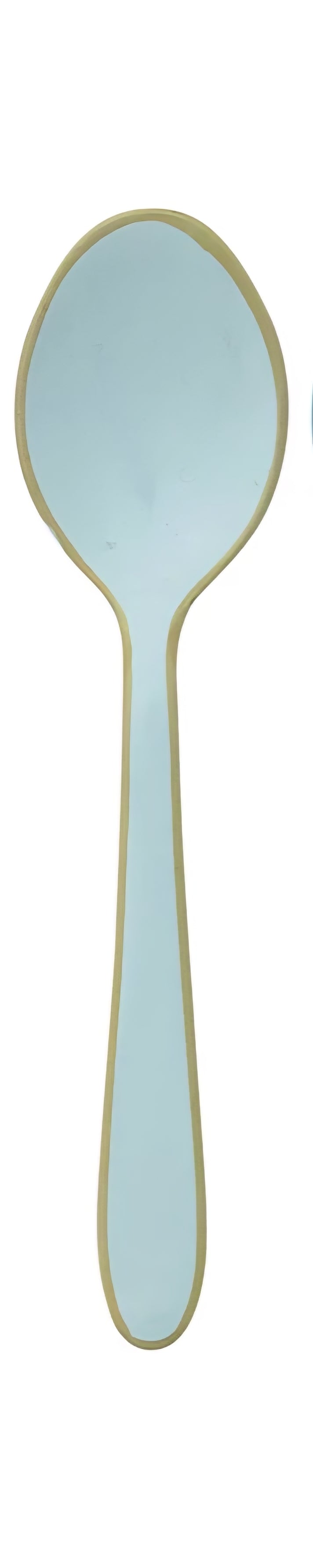Enameled Stainless Steel Spoon with Colored Edge, 3 Colors