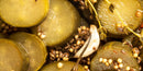 Grand Dill Pickles