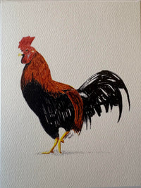 Jerry Ratway Preservation Through Art Cards