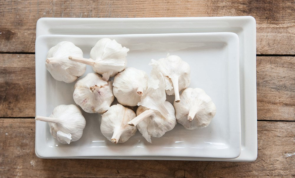 Garlic sitting on a white ceramic platter that is sitting on another, larger white ceramic platter on a wooden surface. 