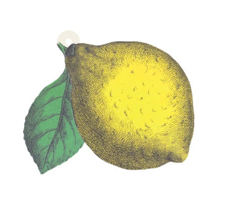 Lemon Gift Tags