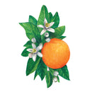 Orange Blossom Table Accent Cards