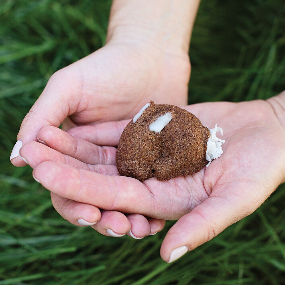 A person holding a small baby bunny shaped cake in their hands above grass.