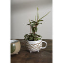 A coffee mug with a plant in it on a wooden surface with a gray background.