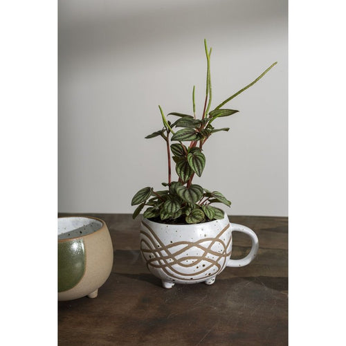 A coffee mug with a plant in it on a wooden surface with a gray background.